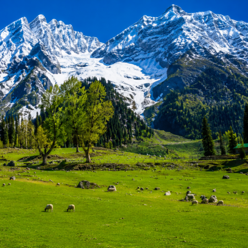 HIMACHAL PRADESH 4N / 5D