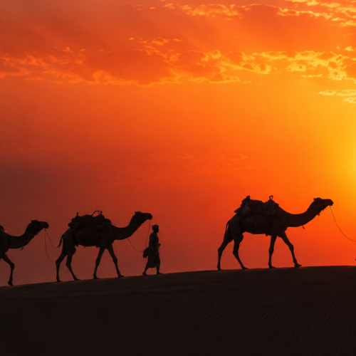 RAJASTHAN 8N /9D