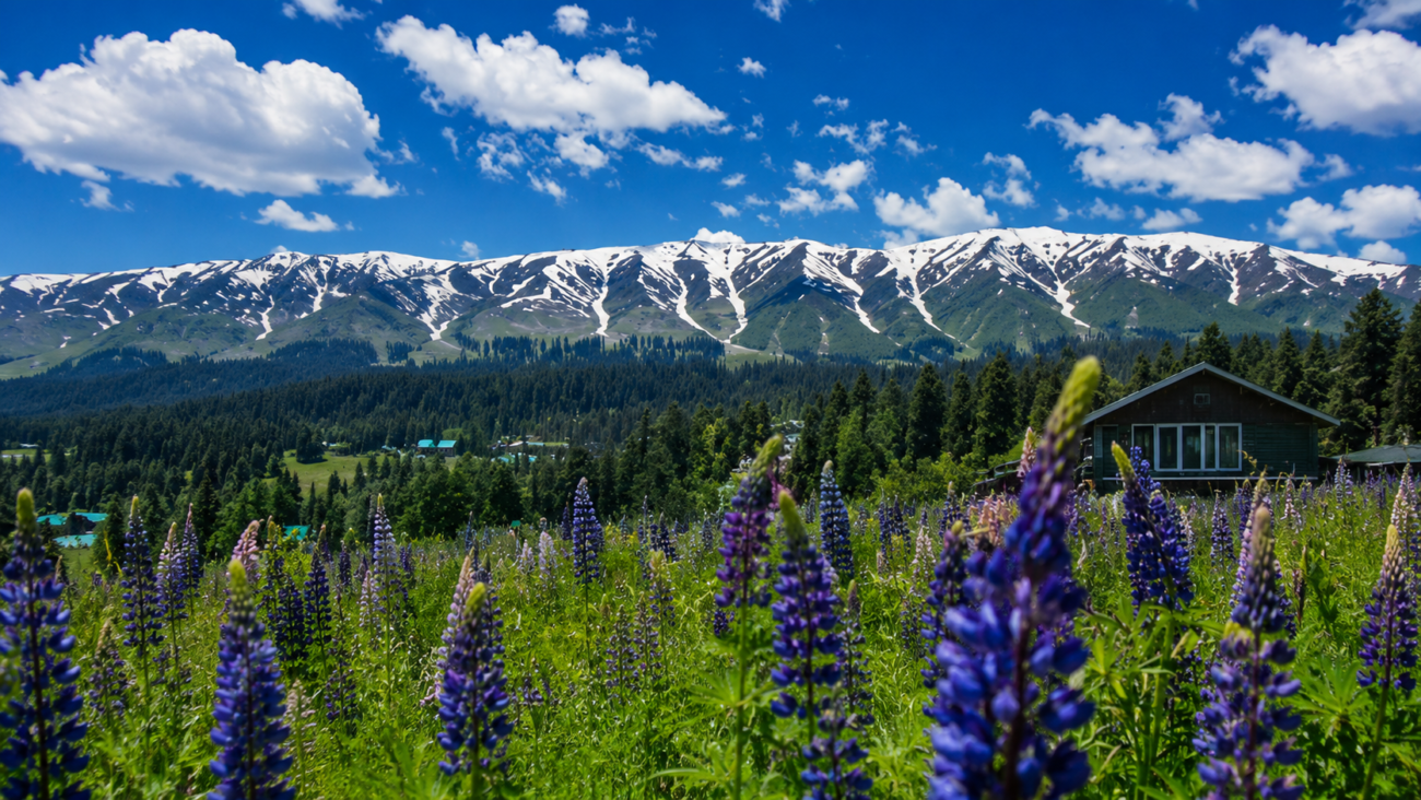 KASHMIR 4N / 5D