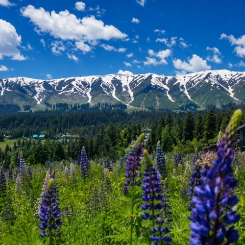 KASHMIR 4N / 5D